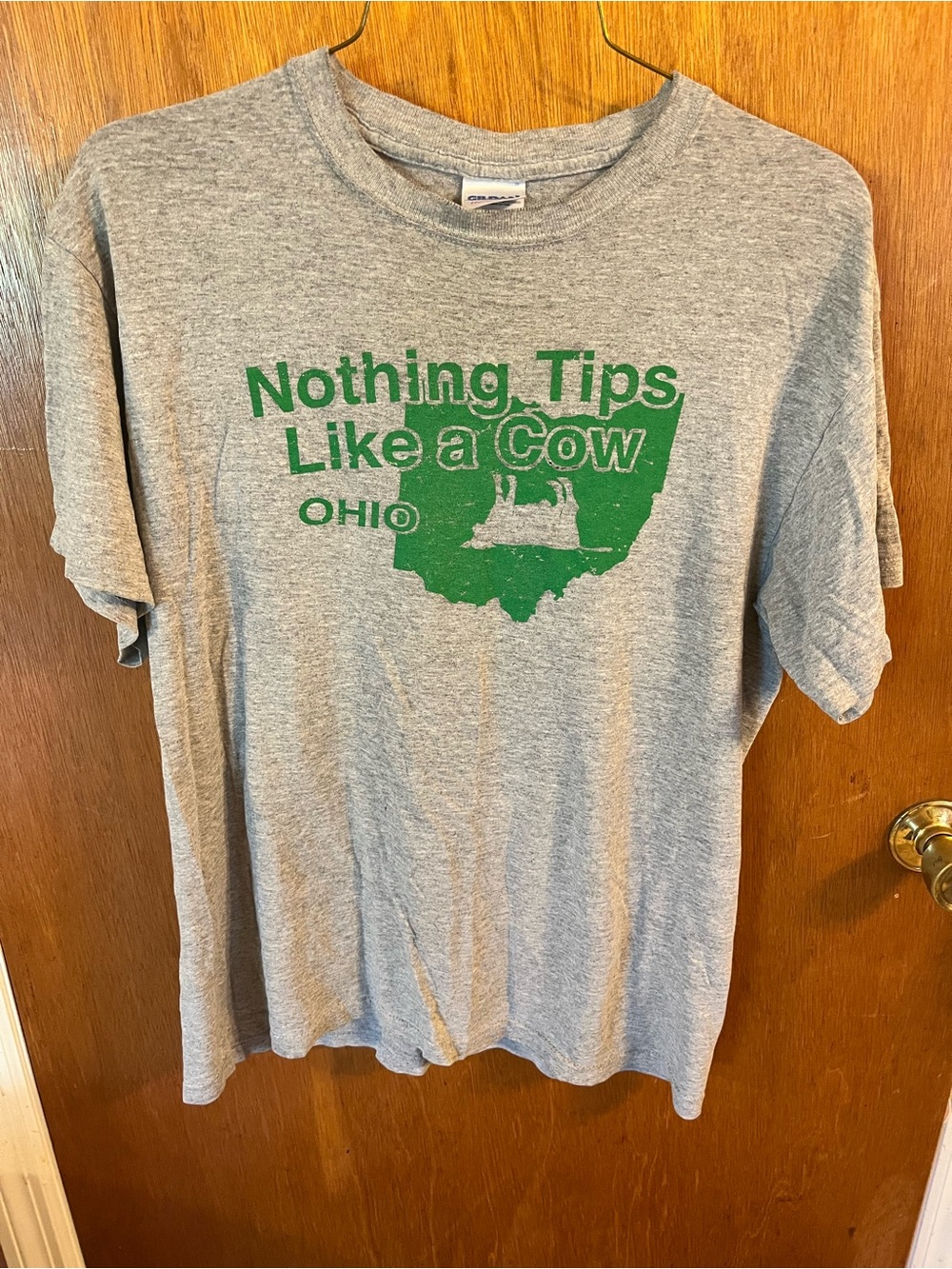 Gildan Heather Gray Tee with Green Ohio Cow Graphic